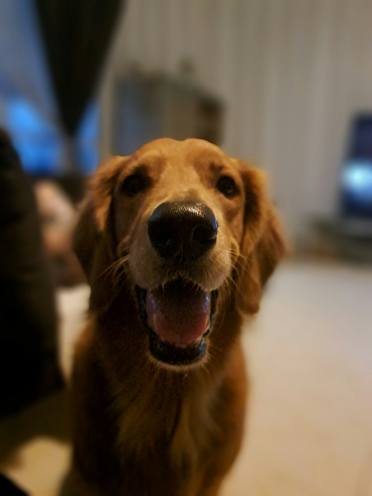 ハナ